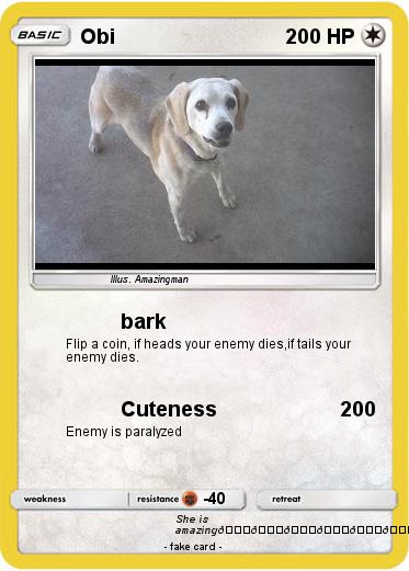 Pokemon Obi