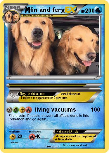 Pokemon fin and ferg