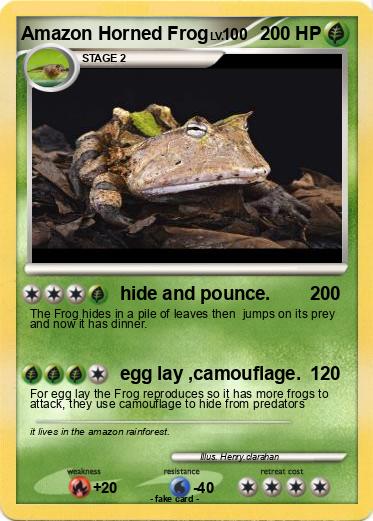 Pokemon Amazon Horned Frog
