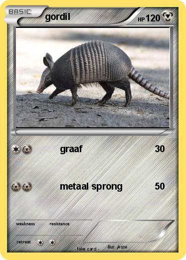 Pokemon gordil