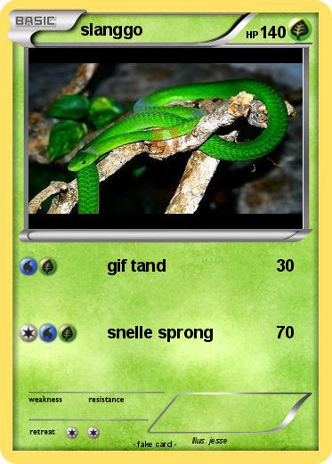 Pokemon slanggo