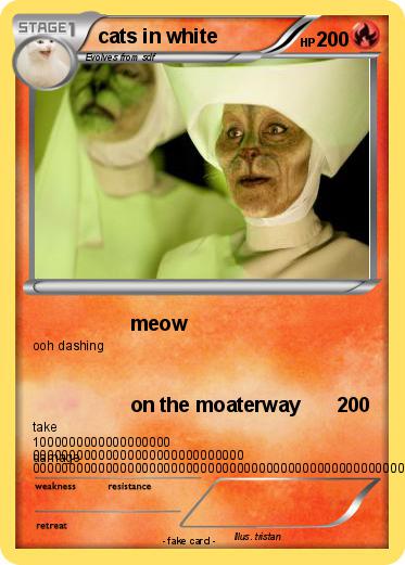Pokemon cats in white