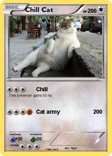 Pokemon Chill Cat