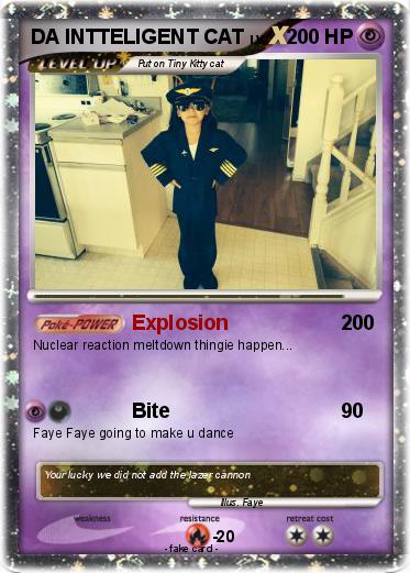 Pokemon DA INTTELIGENT CAT