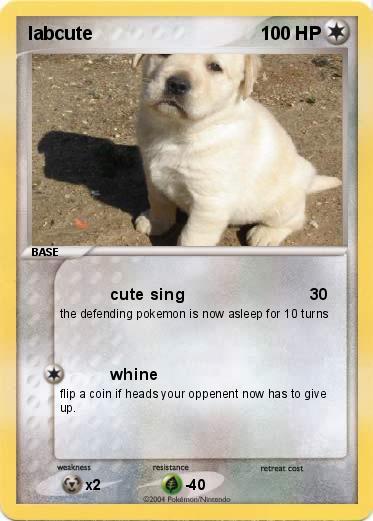 Pokemon labcute
