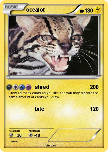 Pokemon ocealot