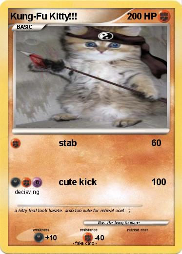 Pokemon Kung-Fu Kitty!!!