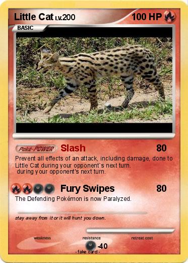 Pokemon Little Cat
