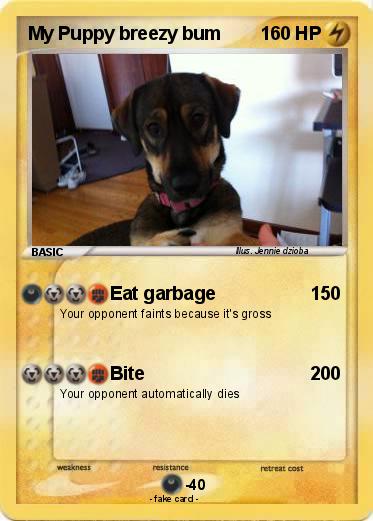 Pokemon My Puppy breezy bum