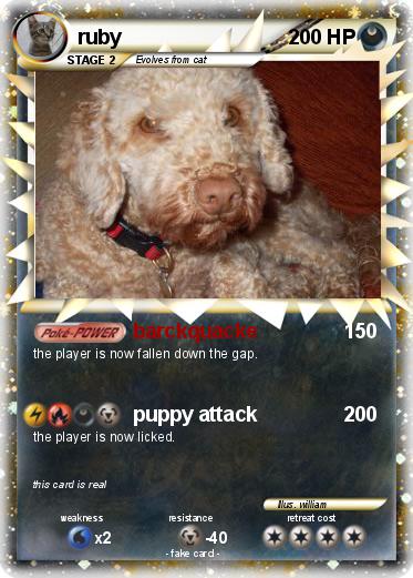Pokemon ruby
