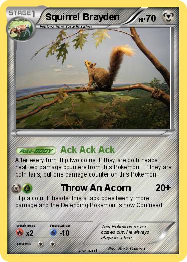 Pokemon Squirrel Brayden
