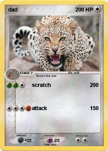 Pokemon dad