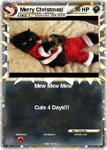 Pokemon Merry Christmas!