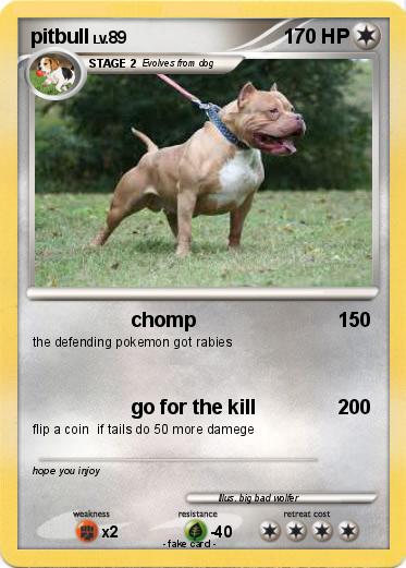 Pokemon pitbull