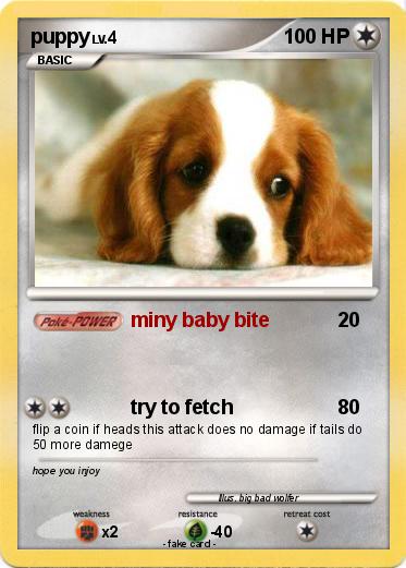 Pokemon puppy