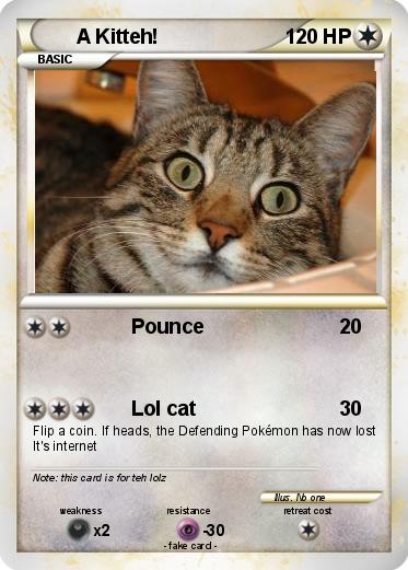 Pokemon A Kitteh!
