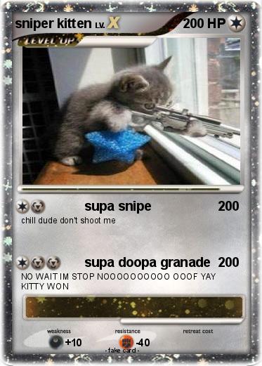 Pokemon sniper kitten