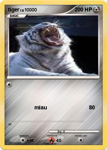 Pokemon tiger