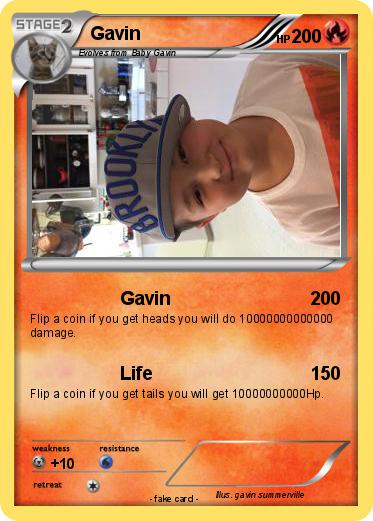 Pokemon Gavin