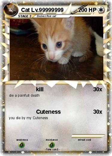 Pokemon Cat Lv.99999999
