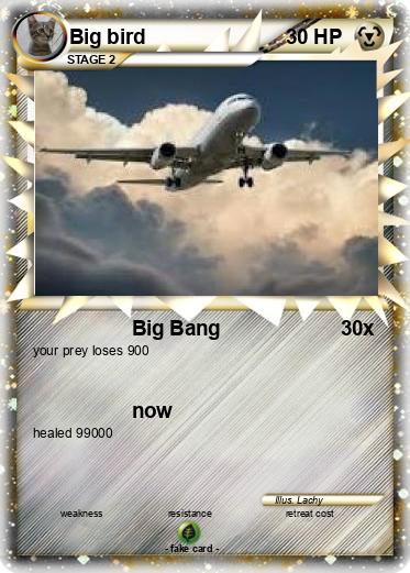 Pokemon Big bird