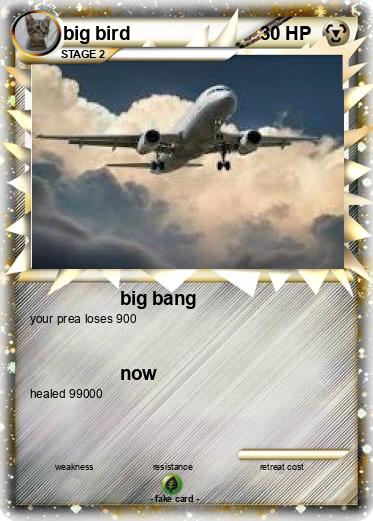 Pokemon big bird