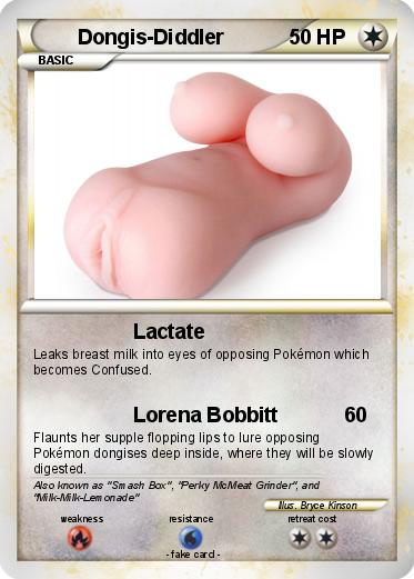 Pokemon Dongis-Diddler