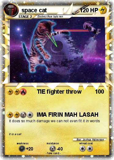 Pokemon space cat