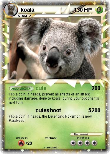 Pokemon koala                          1