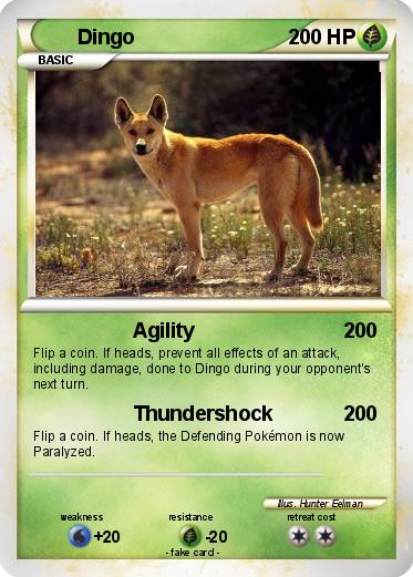 Pokemon Dingo