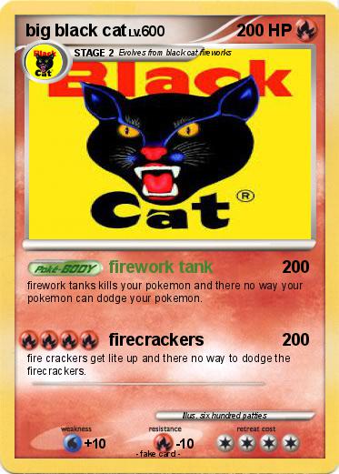 Pokemon big black cat