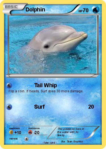 Pokemon Dolphin
