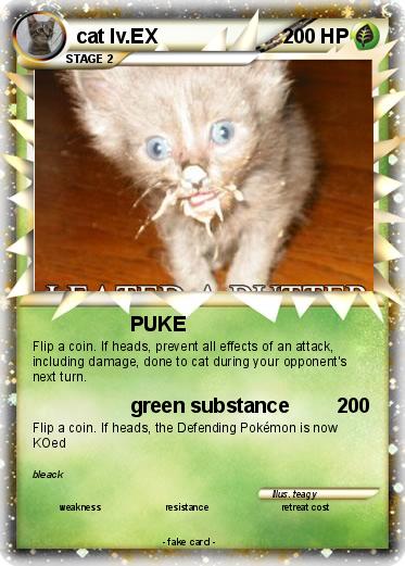 Pokemon cat lv.EX