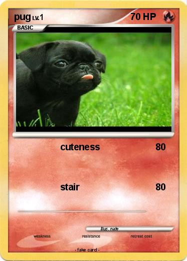 Pokemon pug