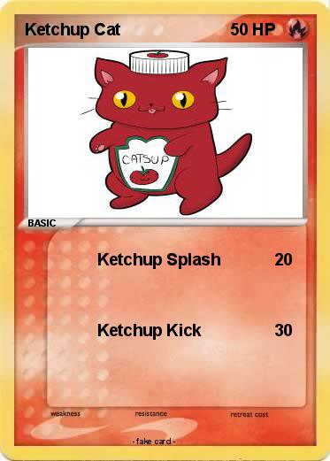 Pokemon Ketchup Cat