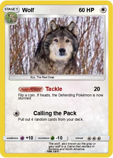 Pokemon Wolf