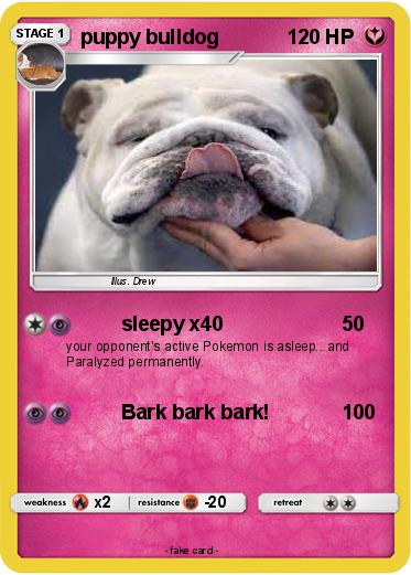 Pokemon puppy bulldog