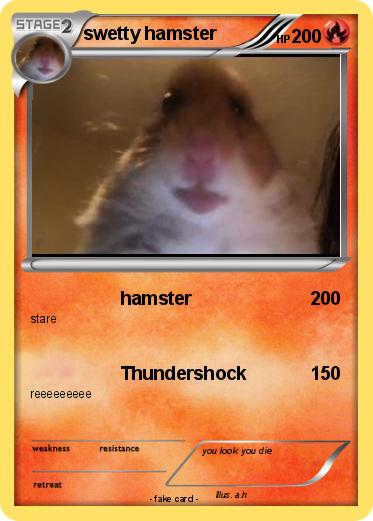 Pokemon swetty hamster