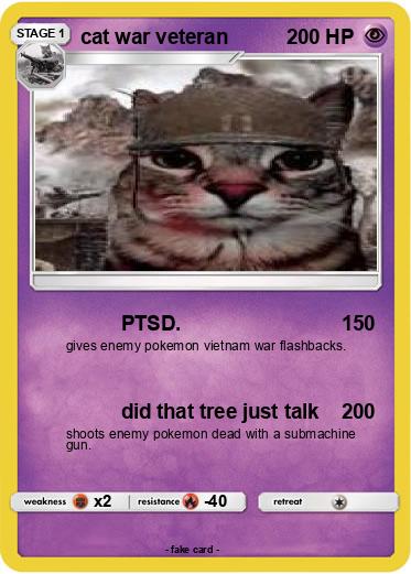 Pokemon cat war veteran