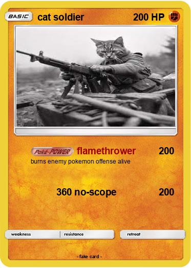 Pokemon cat soldier