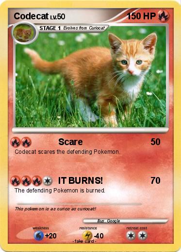 Pokemon Codecat