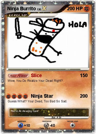 Pokemon Ninja Burrito