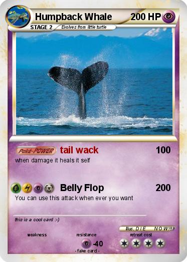 Pokemon Humpback Whale