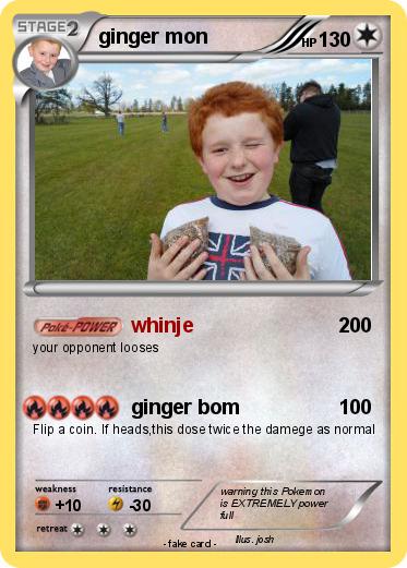 Pokemon ginger mon