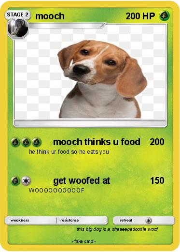 Pokemon mooch