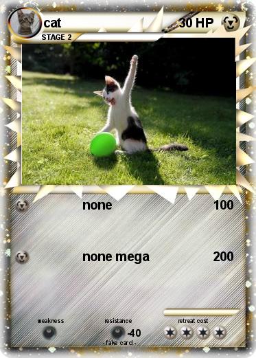 Pokemon cat