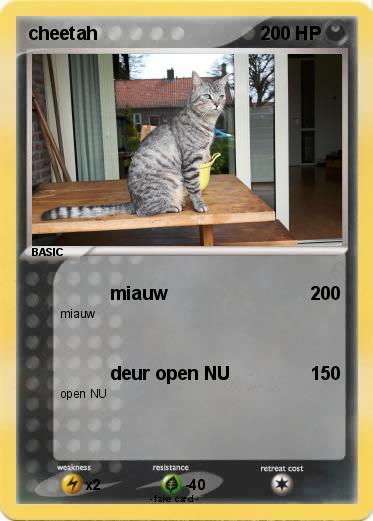Pokemon cheetah