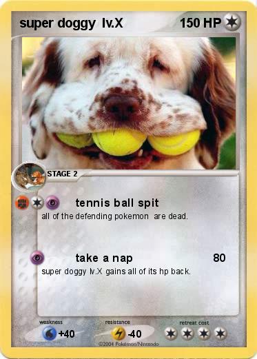 Pokemon super doggy  lv.X           