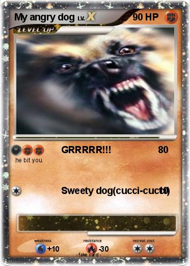 Pokemon My angry dog