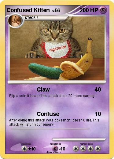 Pokemon Confused Kitten
